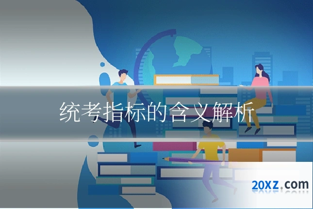 统考指标的含义解析