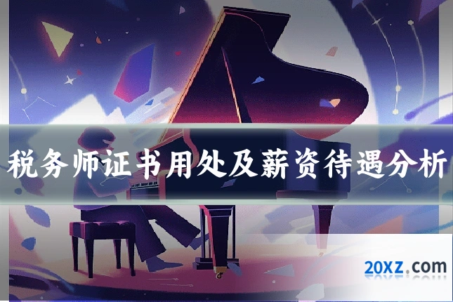 税务师证书用处及薪资待遇分析