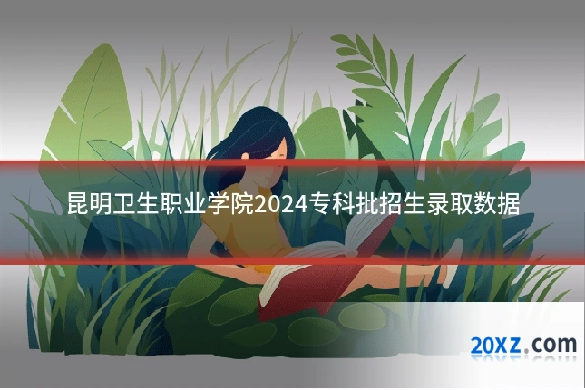 昆明卫生职业学院2024专科批招生录取数据