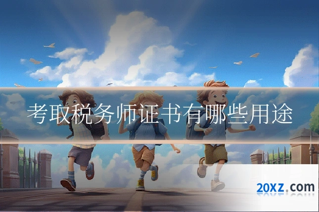 考取税务师证书有哪些用途