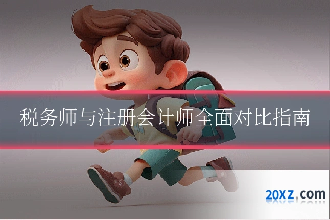 税务师与注册会计师全面对比指南