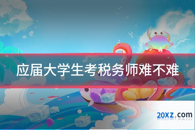 应届大学生考税务师难不难