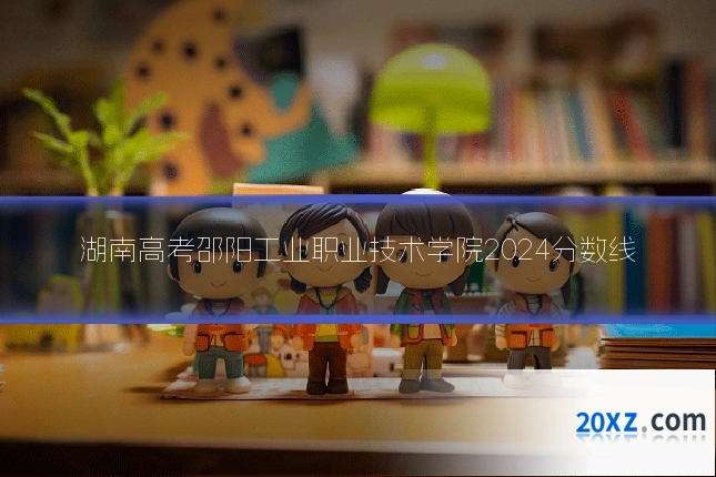 湖南高考邵阳工业职业技术学院2024分数线