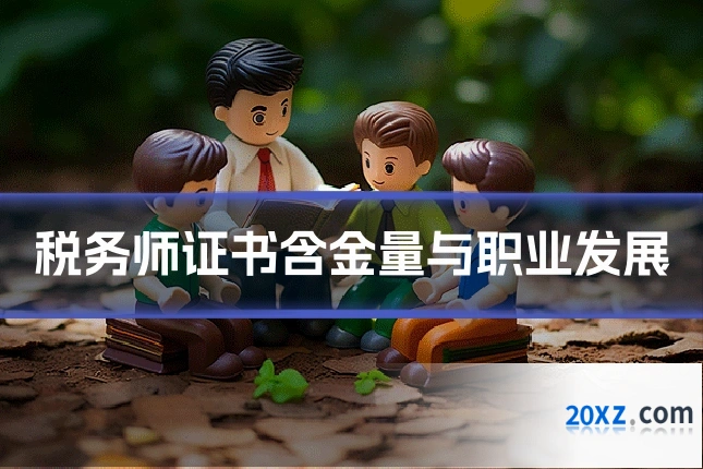 税务师证书含金量与职业发展