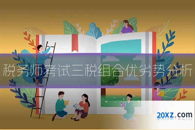 税务师考试三税组合优劣势分析