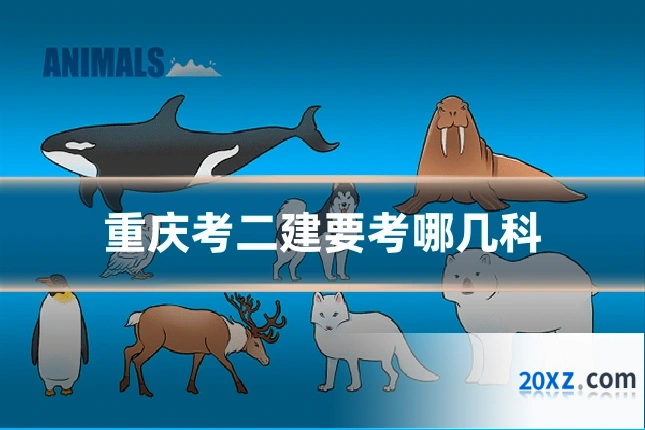 重庆考二建要考哪几科