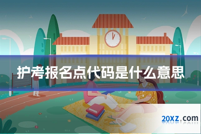 护考报名点代码是什么意思