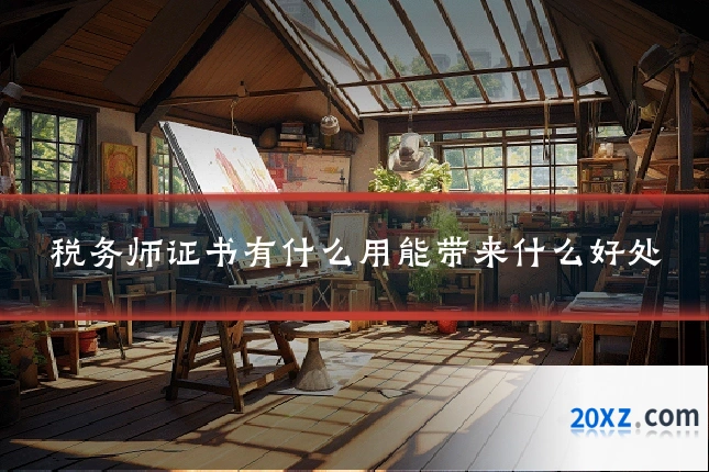 税务师证书有什么用能带来什么好处