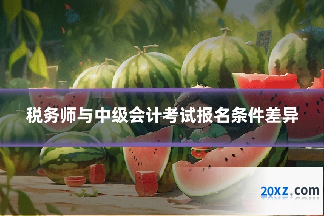 税务师与中级会计考试报名条件差异
