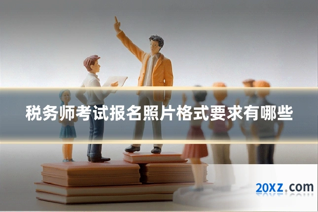 税务师考试报名照片格式要求有哪些