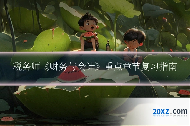 税务师《财务与会计》重点章节复习指南