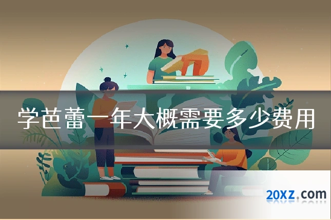 学芭蕾一年大概需要多少费用
