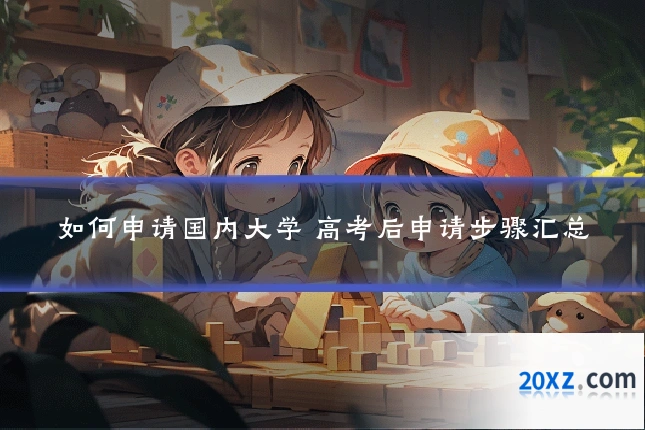 如何申请国内大学 高考后申请步骤汇总