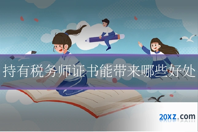 持有税务师证书能带来哪些好处