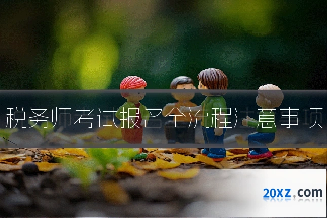 税务师考试报名全流程注意事项