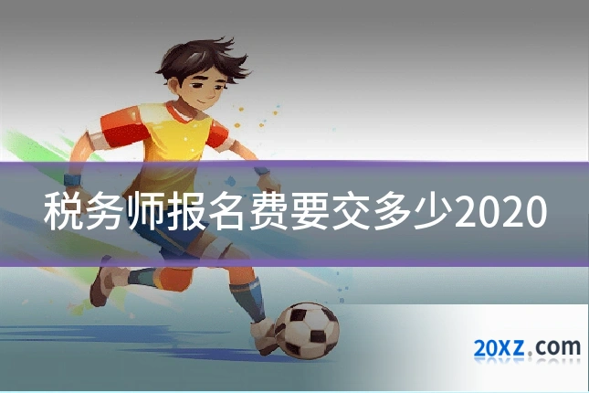 税务师报名费要交多少2020