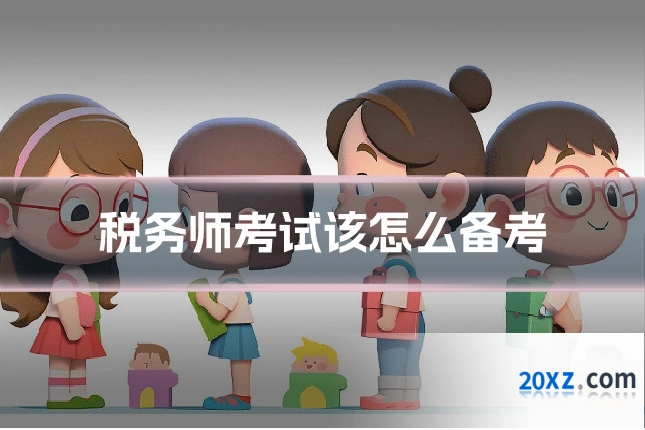 税务师考试该怎么备考