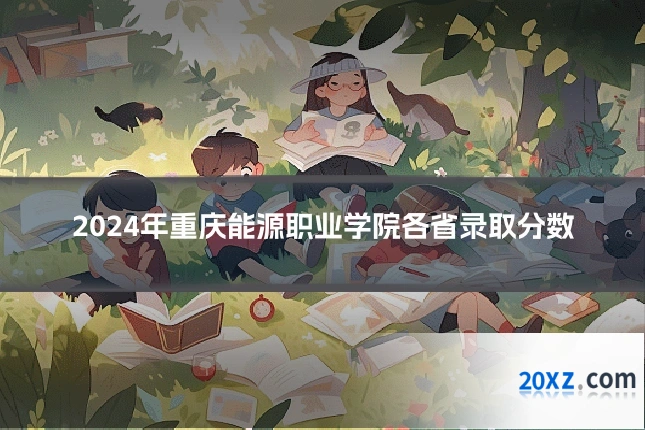 2024年重庆能源职业学院各省录取分数
