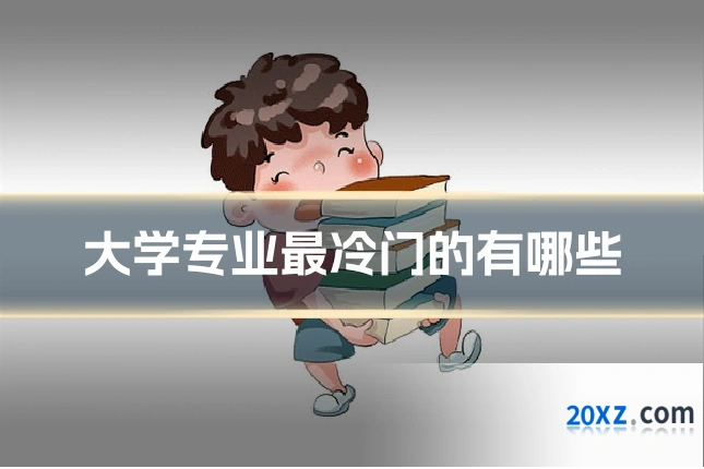 大学专业最冷门的有哪些