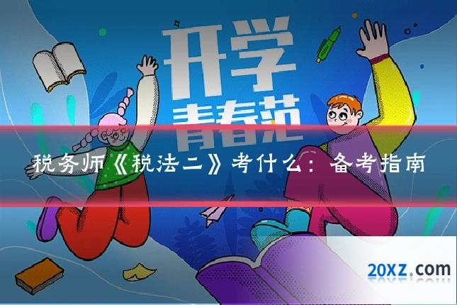 税务师《税法二》考什么:备考指南