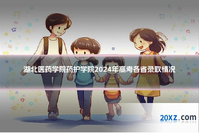 湖北医药学院药护学院2024年高考各省录取情况