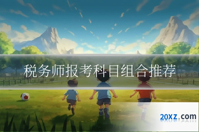 税务师报考科目组合推荐