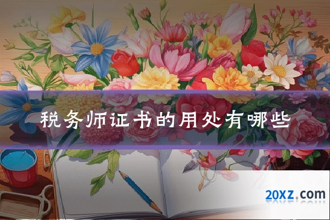 税务师证书的用处有哪些