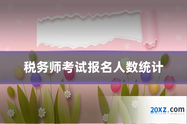 税务师考试报名人数统计