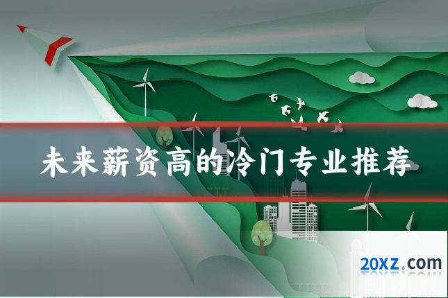 未来薪资高的冷门专业推荐