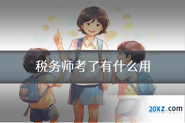 税务师考了有什么用