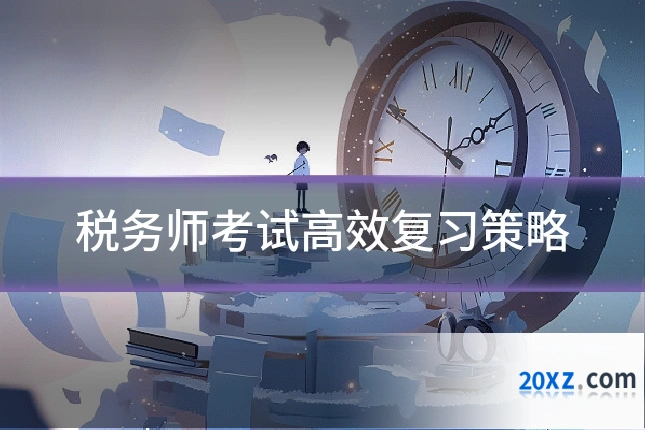 税务师考试高效复习策略