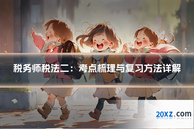 税务师税法二:考点梳理与复习方法详解