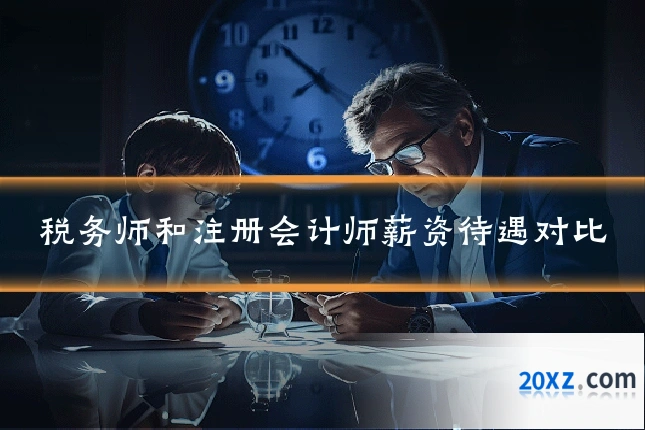 税务师和注册会计师薪资待遇对比