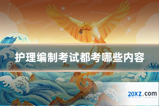 护理编制考试都考哪些内容