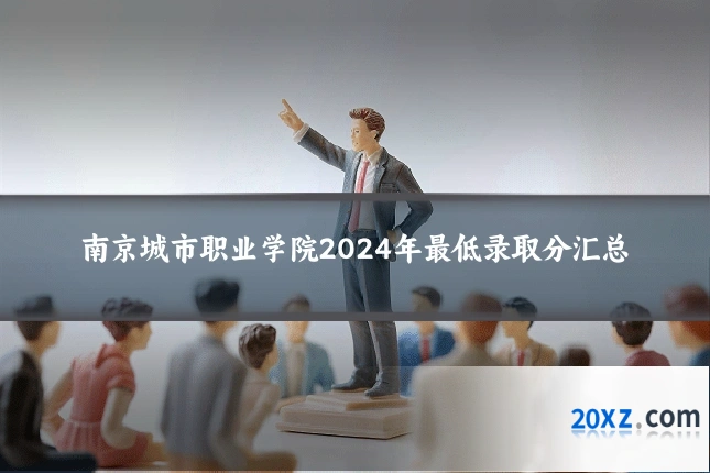 南京城市职业学院2024年最低录取分汇总
