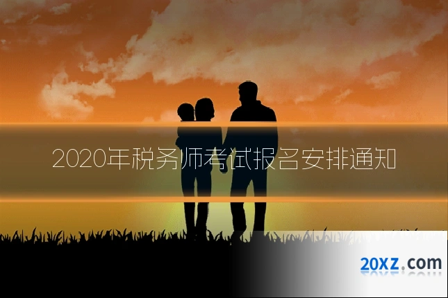 2020年税务师考试报名安排通知
