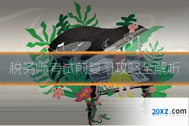 税务师考试前复习攻略全解析