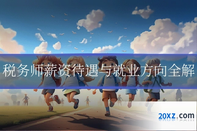 税务师薪资待遇与就业方向全解