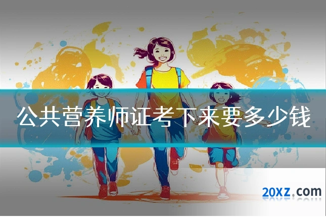 公共营养师证考下来要多少钱