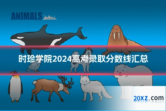 时珍学院2024高考录取分数线汇总