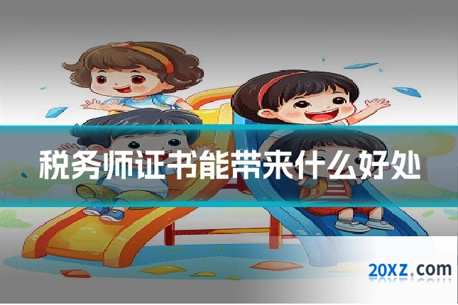 税务师证书能带来什么好处