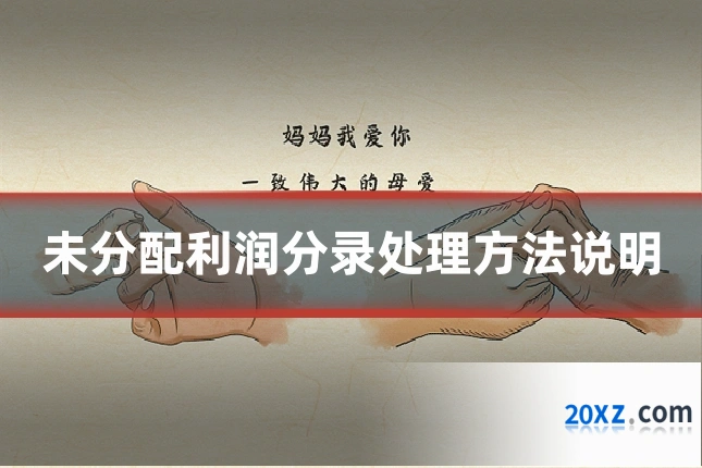 未分配利润分录处理方法说明