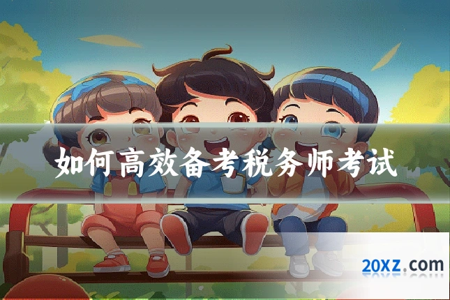 如何高效备考税务师考试