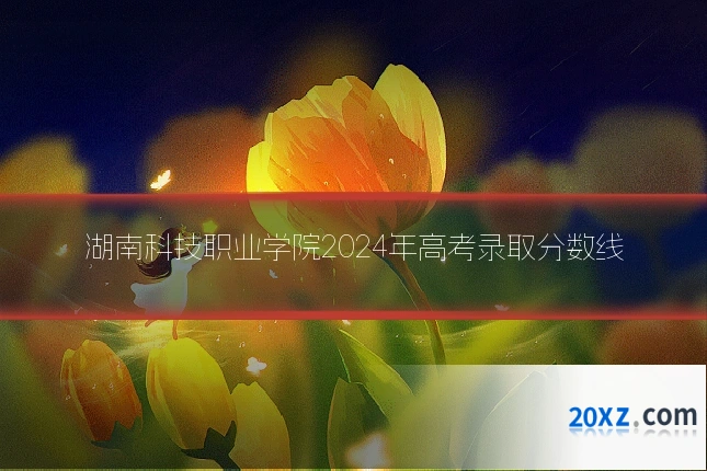 湖南科技职业学院2024年高考录取分数线