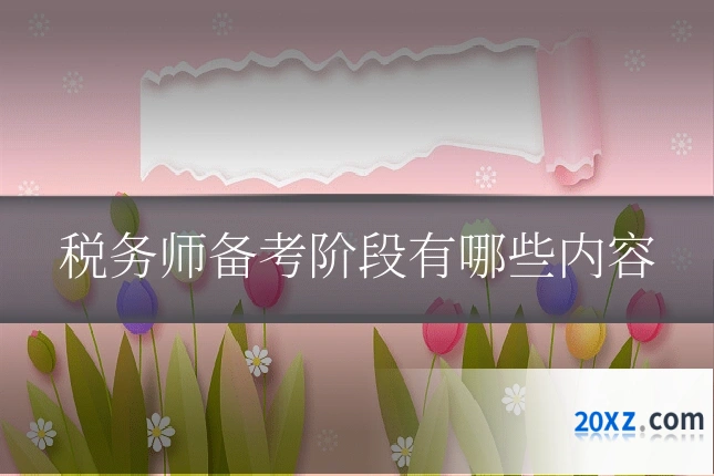 税务师备考阶段有哪些内容