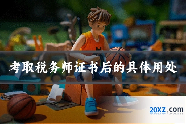 考取税务师证书后的具体用处