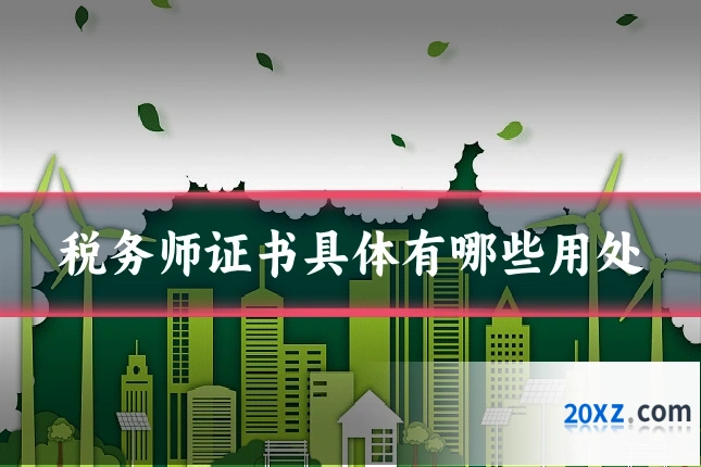 税务师证书具体有哪些用处