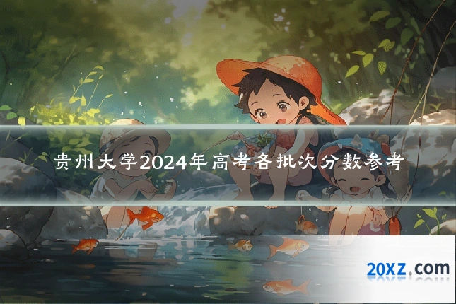 贵州大学2024年高考各批次分数参考
