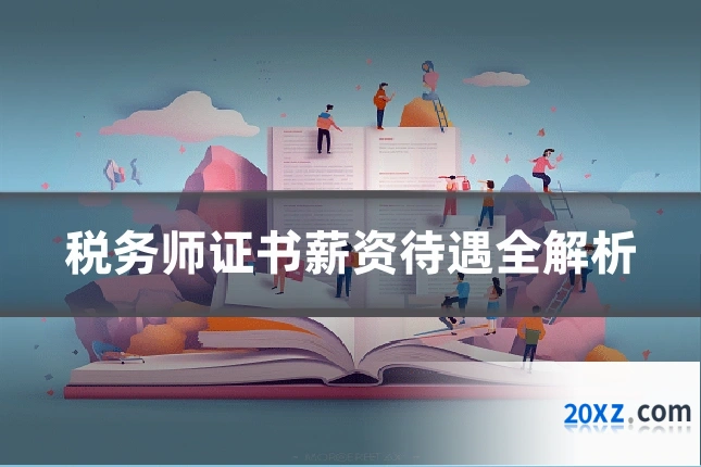 税务师证书薪资待遇全解析