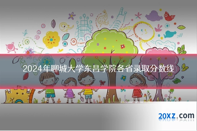2024年聊城大学东昌学院各省录取分数线
